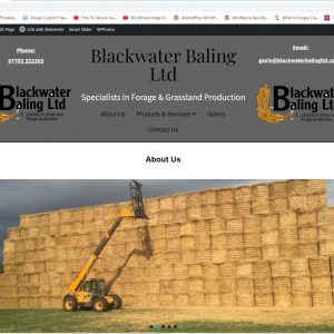 Website 2